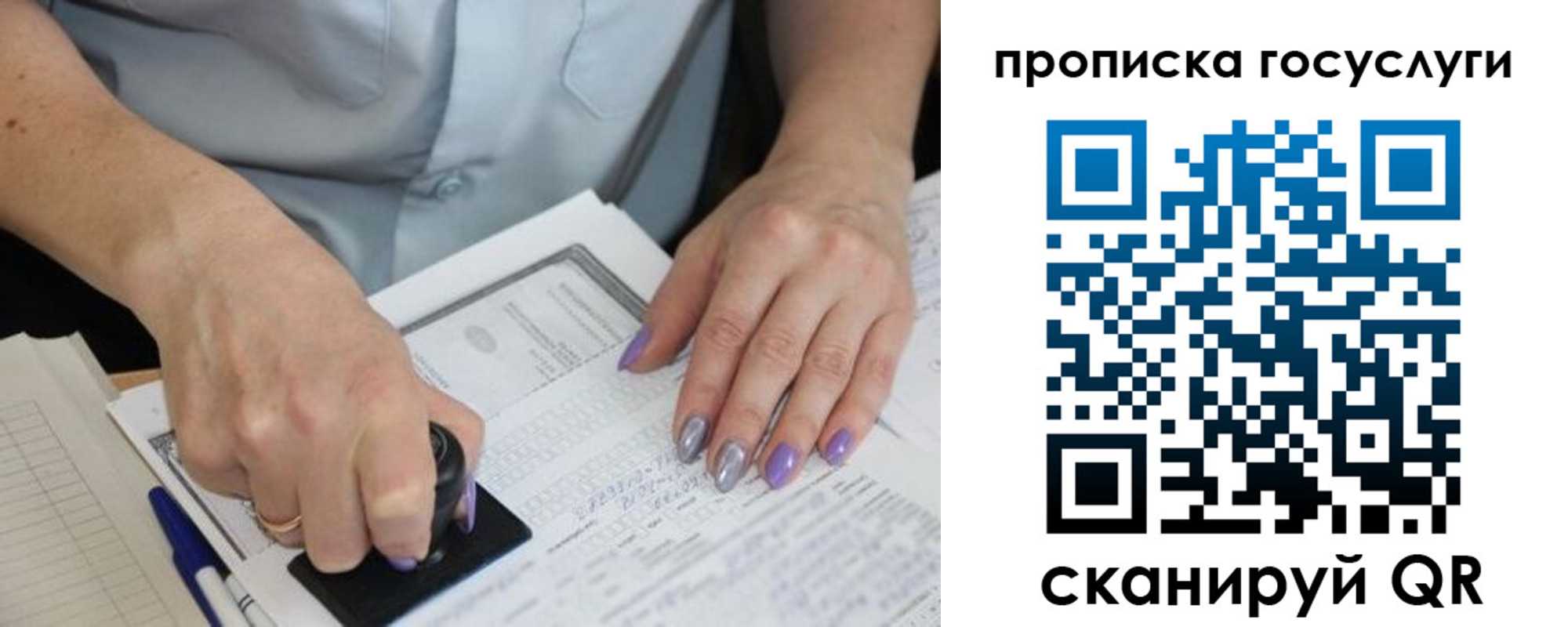 купить прописку в Димитровграде